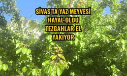 Sivas’ta yaz meyvesi hayal oldu tezgahlar el yakıyor