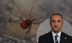 Kene ile Mücadelede O Kararın Hesabını Kim Verecek?