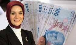 1.250 TL Aile Destek Yerine 2.500 TL Diğer Aile Yardımı ! Başvurusu Nasıl Yapılır?