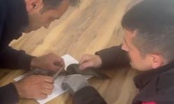 Sivas'ta İtfaiyenin İnce Çalışması Mahsur Kalan Kuş Özgürlüğüne Kavuştu!