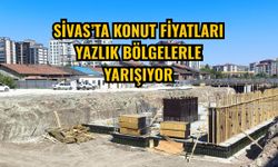 Sivas’ta konut fiyatları yazlık bölgelerle yarışıyor