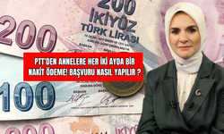 PTT'den Annelere Her İki Ayda Bir  Nakit Ödeme! Nasıl Alınır ?