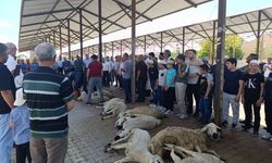 Kangallılar Yağmur Duasına Çıktı!