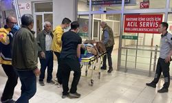 Sivas'ta Aile İçi Şiddet Bir Ölü, İki Yaralı