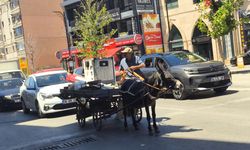 Sivas’ta Trafikte Nostaljik Anlar: Bazen Arabalar Bile Durmuyor