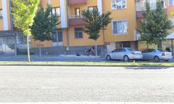 Yazın Sivas’ta sokaklara taşan renkli yün çırpma seremonisi