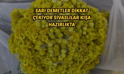 Sarı demetler dikkat çekiyor Sivaslılar kışa hazırlıkta