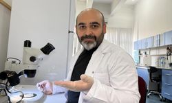 Bir bu eksikti! Keneyi strese sokmamak lazım!