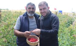 Ahududu hobisi talepleri patlattı
