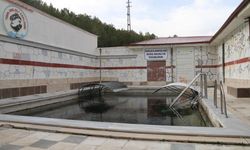 Şifacı balıklar mührün açılmasını bekliyor