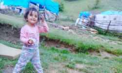 Tam 7 yıldır Evrim aranıyor