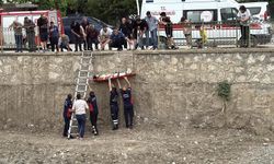Bir canı kurtarmak isterken kendi canı yandı