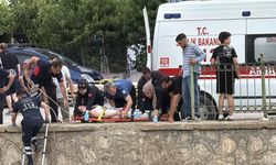 Kediyi Kurtarmak İçin Gözünü Kırpmadı Ama Sonu Kötü Bitti