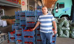 Domatesler salça için ucuzlamaya başlıyor