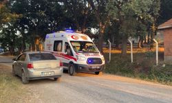 Piknikte emekli polis husumetlileri karşılaşınca...