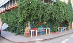 Sivas'taki Bu Sarmaşıkların Altında Bir Kafe Var!