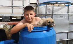Su Variline Giren Ali ve Kangal Sosyal Medyayı Salladı