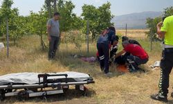 Sivas Erzincan Karayolunda Kaza