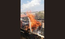 Bahçede Çıkan Yangını Paniğe Neden Oldu