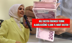 Aile Destek Ödemesi Yerine Alabileceğiniz 5,500 TL Nakit Destek !
