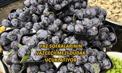 Yaz Sofralarının Vazgeçilmezi Dudak Uçuklatıyor