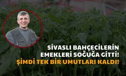 Sivaslı Bahçecilerin Emekleri Soğuğa Gitti!