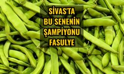 Sivas'ta bu senenin şampiyonu fasulye