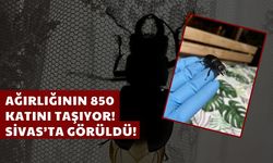 Ağırlığının 850 Katını Taşıyor! Sivas'ta Görüldü!