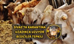 Sivas’ta karantina uzadıkça uzuyor besiciler tepkili