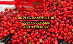 Bu Yazın Gözdesi Halde Dudak Uçuklatan Fiyatla Satılıyor