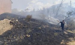 Rüzgarın Ateşiyle  Sivas'ta Yayılan Yangın Felaketi