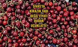 Sivas'ta Kirazın Tadı Değil Fiyatı Dudak Uçuklattı!