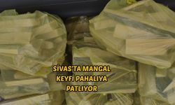 Sivas'ta Mangal Keyfi Pahalıya Patlıyor