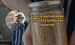 Sivas’ın Dağlarından Gelen Şifa Sofralara Taşınıyor