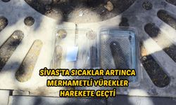 Sivas'ta sıcaklar artınca merhametli yürekler harekete geçti