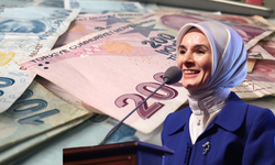 Dev Ödeme Gerçekleşti 1 Milyar 401 Milyon TL Vatandaşların Hesabında