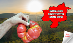 Sivas'ın O İlçesi Türkiye'ye Lezzetle Meydan Okuyor !