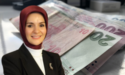 Bakanlık Tarafından 3,500 TL Tek Seferlik Nakit Ödeme Nasıl Alınır?