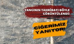 Yangının Verdiği Zarar Havadan Görüntülendi!