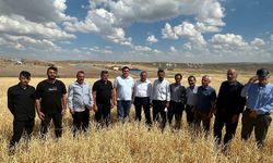 Karasu: Arpa ithalatı kendi üreticimize ihanettir!