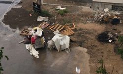 Sivas'ta o mahalle çöp konteyneri istiyor