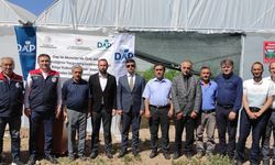 Sivas'ta Binlerce Fide Dağıtıldı!