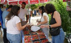 Yazın En Çok Aranan Lezzeti Ortaya Çıktı