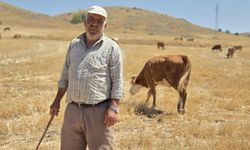 Sağlığını çobanlığa borçlu