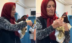 Tavuk için hastane seferber oldu
