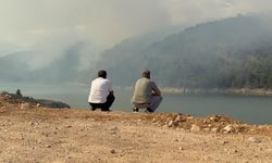 Komşuda orman yangınında 50 hektar kül oldu