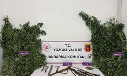 O Bahçede Bulunanlar Şaşkınlık Yarattı