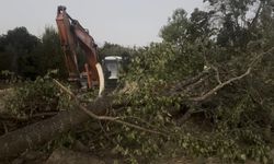 İşçinin üstüne toprak değil ağaç devrildi!..