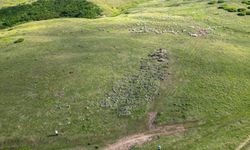 Sivas, Ordu ve Tokat Üçgeninde Unutulan Bir Mezarlık