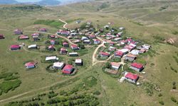 25 yılın sonunda ortaya çıkan örnek çevre çalışması